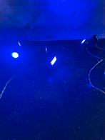 Lemax spots blauw, Diversen, Ophalen of Verzenden