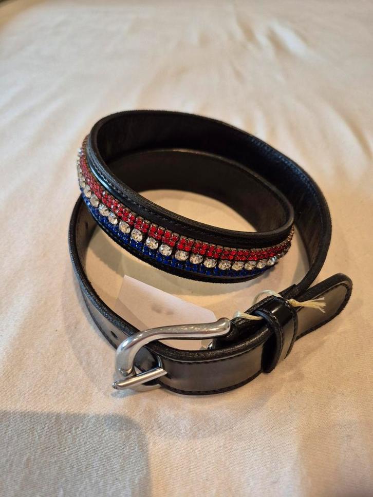 Riem Showtime, Dieren en Toebehoren, Paardrijkleding, Nieuw, Overige typen, Ophalen of Verzenden