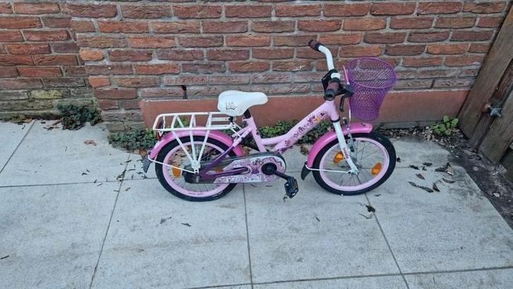 Loeki prinses kinderfiets (16), Dieren en Toebehoren, Honden-accessoires, Gebruikt, Ophalen