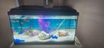 aquarium plus accessoires, Dieren en Toebehoren, Vis