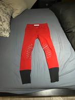 Rode animo rijbroek maat 32, Ophalen of Verzenden, Onderkleding