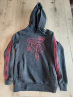 knolpower hoodie maat 158/164, Gebruikt, Jongen of Meisje, Trui of Vest, Knolpower