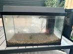 Juwel aquarium, Dieren en Toebehoren, Ophalen of Verzenden, Gebruikt, Leeg aquarium
