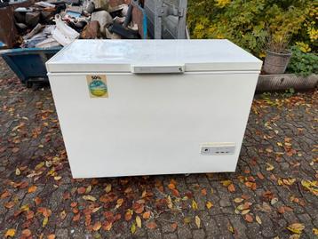 Grote Vrieskist - Ruimte zat! beschikbaar voor biedingen