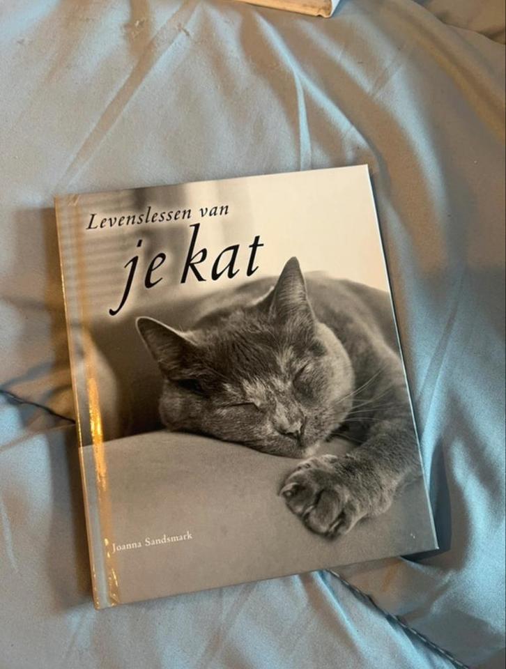 Levenslessen van je kat - Inspiratie & Wijsheid, Boeken, Esoterie en Spiritualiteit, Zo goed als nieuw, Achtergrond en Informatie
