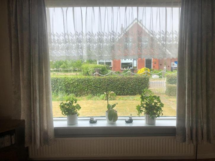 te koop gordijnen, Huis en Inrichting, Stoffering | Gordijnen en Lamellen, Zo goed als nieuw, 200 cm of meer, 200 cm of meer, Ophalen