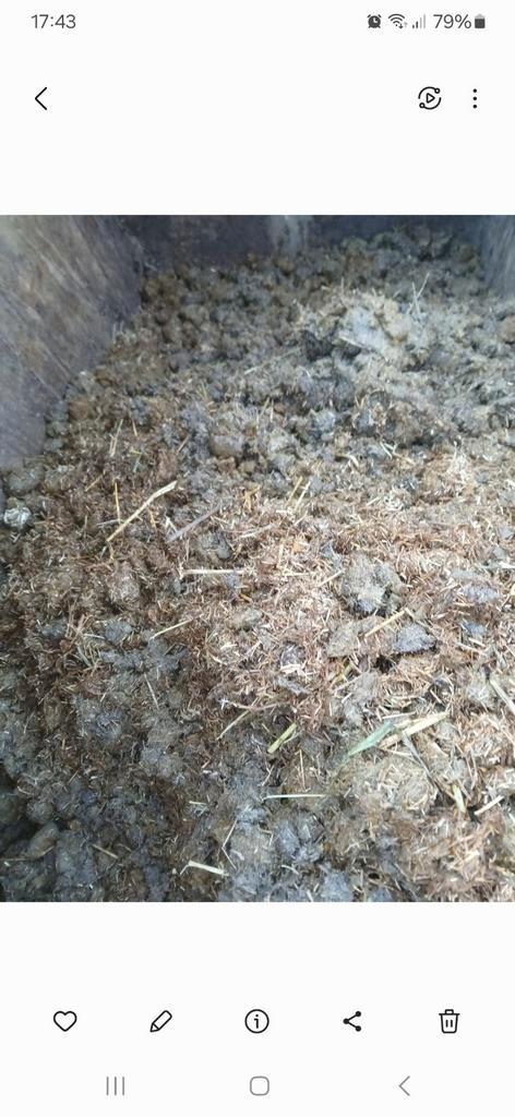 Paardenmest gratis af te halen, Tuin en Terras, Aarde en Mest, Ophalen