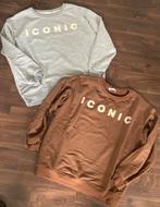 2x sweater Ambika grijs bruin onesize izgs, Ambika, Ophalen of Verzenden, Zo goed als nieuw