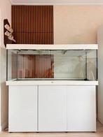 Juwel Rio 450 Met Kast Compleet Set, Dieren en Toebehoren, Ophalen, Zo goed als nieuw, Leeg aquarium