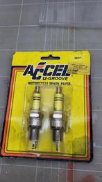 Nieuwe Bougies voor Harley Davidson Evo-blok, Verzenden, Nieuw