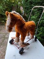 Geweldig Lief Oud Looppaardje ( Ireland ) !!!, Ophalen