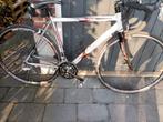 Zeer mooie Wilier Escape Campagnolo Veloce maat 54, Fietsen en Brommers, Fietsen | Racefietsen, Carbon, Zo goed als nieuw, Meer dan 20 versnellingen