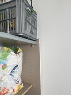 Krat, Huizen en Kamers, Kamers te huur