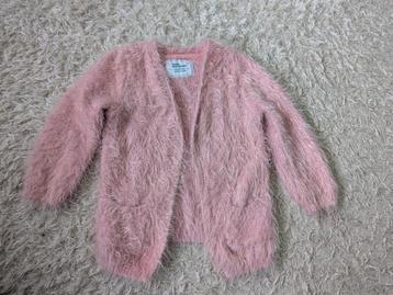 Roze wollen fluffy vest maat 110 Primark  beschikbaar voor biedingen