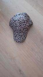 Pet / cap luipaard nieuw, Kleding | Heren, Ophalen of Verzenden, Nieuw