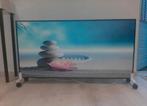 Infraroodpaneel welness 900watt 60cmx120cm incl. standaard, Ophalen, 30 tot 80 cm, Zo goed als nieuw, 60 tot 150 cm