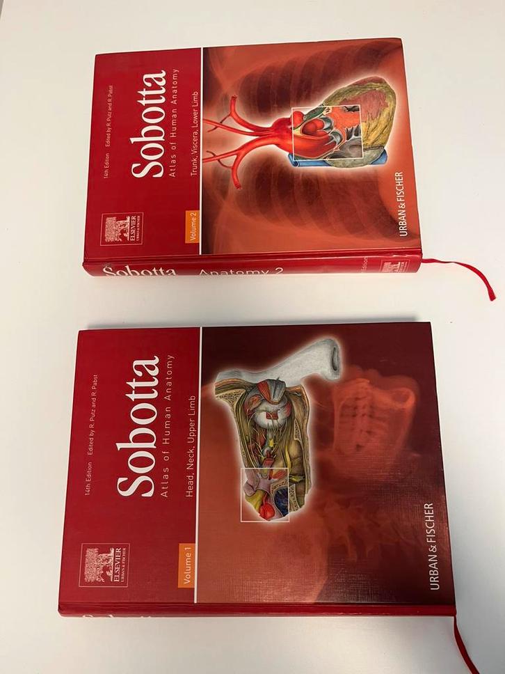 Fysiotherapie boeken, Boeken, Wetenschap, Zo goed als nieuw, Ophalen of Verzenden