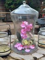 Grote glazen vaas stolp met zijde orchideeën H 52, Ophalen, Zo goed als nieuw