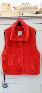 Rino en Pelle bodywarmer, Kleding | Dames, Ophalen of Verzenden, Zo goed als nieuw, Oranje