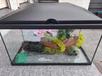 Aquarium 60x30x30, Dieren en Toebehoren, Vissen | Aquaria en Toebehoren, Ophalen, Leeg aquarium