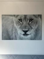 Plexiglas Schilderij 110x70 cm, Ophalen, 50 tot 75 cm, Zo goed als nieuw, Schilderij