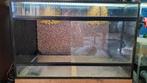 Terrarium, Dieren en Toebehoren, Reptielen en Amfibieën | Toebehoren, Ophalen, Gebruikt, Terrarium of Paludarium