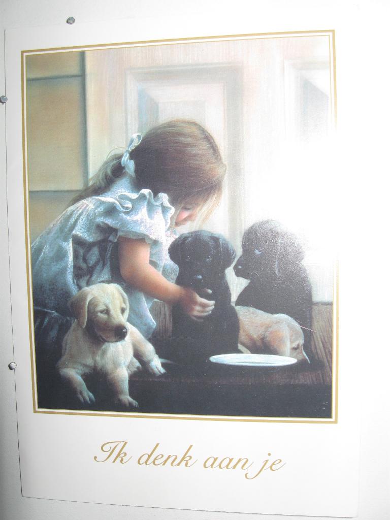 9490 meisje met 3 hondjes, ik denk aan je, Verzenden, Nieuw