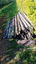 2.50 en 3.00 meter lang, Tuin en Terras, Palen, Balken en Planken, Ophalen of Verzenden, Gebruikt, 250 cm of meer, Palen