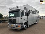 MAN 19 FLL PAARDENWAGEN, MARGE, Euro 2, MAN, Origineel Nederlands, Diesel