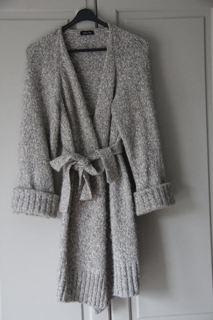 Vest Pauw Anneclaire grijs gemeleerd maat 38 medium, Maat 38/40 (M), Verzenden, Zo goed als nieuw, Anneclaire