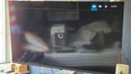 Philips tv 43 inch, Audio, Tv en Foto, Televisies, Ophalen, Philips, 50 Hz, Nieuw