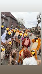 Loopgroep carnavalspakjes ‘Lion King’, Kleding | Dames, Ophalen, Carnaval, Maat 46/48 (XL) of groter, Onbekend
