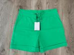 Nieuw! Lady Day Travelstof Korte Broek XXL, Kleding | Dames, Broeken en Pantalons, Lady Day, Kort, Maat 46/48 (XL) of groter, Nieuw