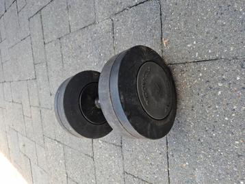 2x dumbells 34kg beschikbaar voor biedingen