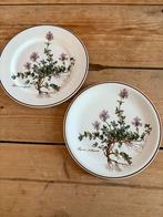 Villeroy en Boch Botanica (Ophalen), Huis en Inrichting, Keuken | Servies, Ophalen, Zo goed als nieuw, Porselein, Wedgwood