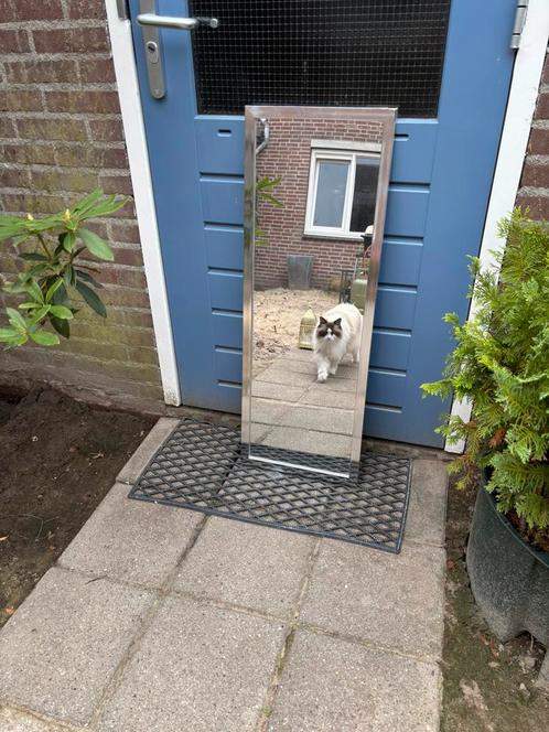Zilveren spiegel te koop – 94x34 cm, Huis en Inrichting, Woonaccessoires | Spiegels, Gebruikt, Minder dan 50 cm, 100 tot 150 cm