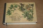 Field Guide to the Trees and Shrubs !!, Boeken, Natuur, Gelezen, Vogels, Ophalen of Verzenden