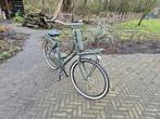 Popal zgan damesfiets omafiets kleur groen, 53 tot 56 cm, Versnellingen, Zo goed als nieuw, Ophalen