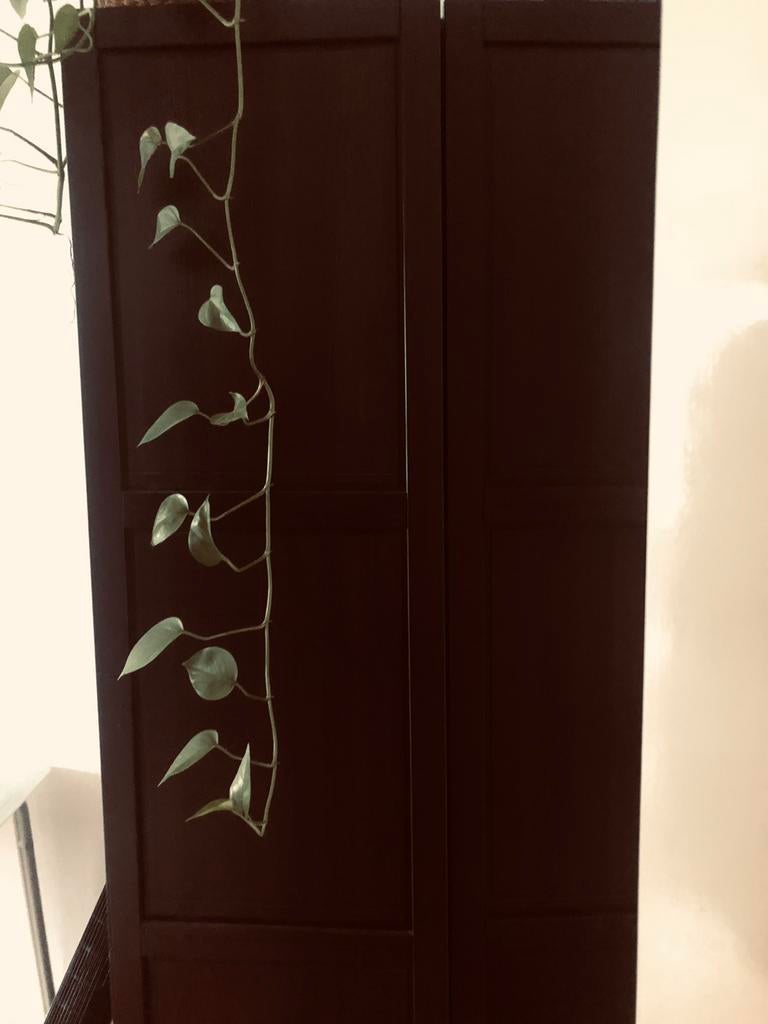 2deurs kast, Huis en Inrichting, Kasten | Kledingkasten, Ophalen of Verzenden, Zo goed als nieuw, 25 tot 50 cm