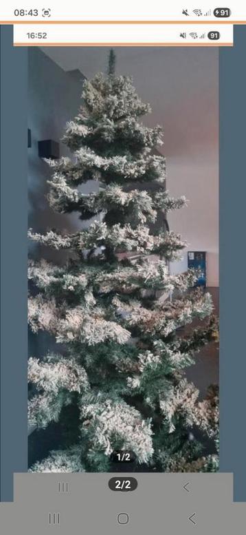 Kerstboom  beschikbaar voor biedingen