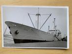 scheepvaart , foto ms Maya , Dammers vd Heide, Verzamelen, Scheepvaart, Ophalen of Verzenden, Zo goed als nieuw, Motorboot, Kaart, Foto of Prent
