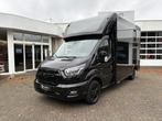 Ford Transit Automaat 170pk Sodiak Nubia Hengstenuitvoering, Ophalen, Gebruikt, Polyester, 2-paards trailer