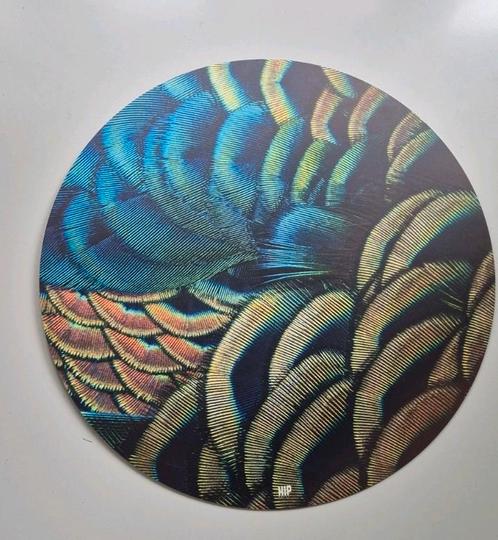 HIP ORGNL Peacock Feathers Round 80cm, Huis en Inrichting, Woonaccessoires | Schilderijen, Tekeningen en Foto's, Ophalen of Verzenden