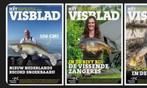Gezocht: gratis visbladen voor een gehandicapte man, Ophalen of Verzenden, Gebruikt, Overige typen