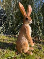 Haas/konijn bos tuin beeld natuur dier, Tuin en Terras, Tuinbeelden, Ophalen, Nieuw, Kunststof, Dierenbeeld