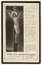 bidprentje Lambertus L.M.A. Nieuwenhuijzen 1911, Verzamelen, Bidprentjes en Rouwkaarten, Ophalen of Verzenden, Bidprentje