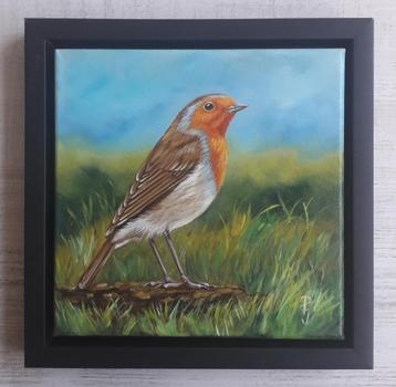 ROODBORSTJE ZIT IN HET GRAS>LEUK DIER>NATUUR>MOOIE VOGEL beschikbaar voor biedingen