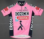 Wielershirt ONCE Eroski (rose) tgv 100e Tour de France 2003, Ophalen of Verzenden