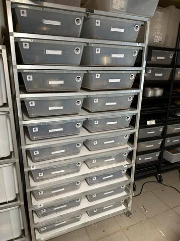Colectie ballpythons met racks beschikbaar voor biedingen