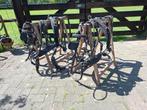 Tweespan pony tuig twee span ponytuig, Dieren en Toebehoren, Ophalen of Verzenden, Overige soorten